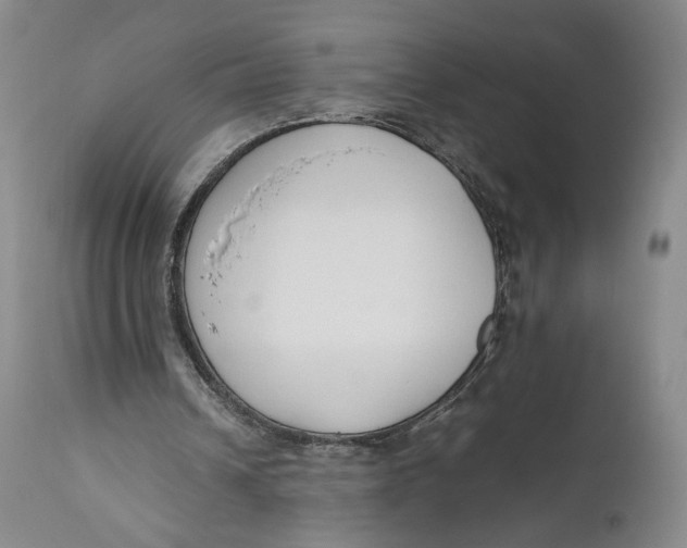 X0000111650242200908071415