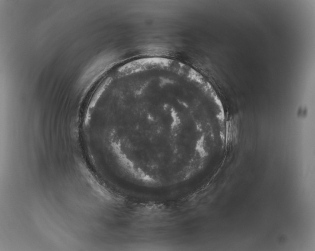 X0000111650243200908071415