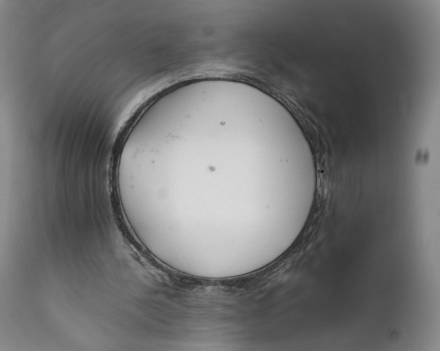 X0000111650244200908071415