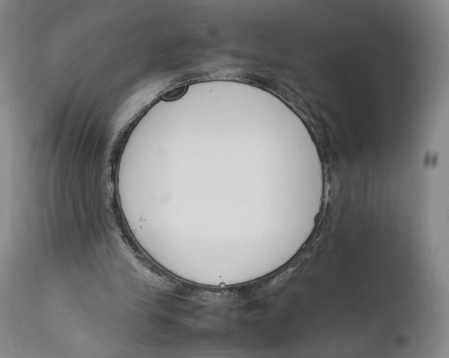 X0000111650245200908071415