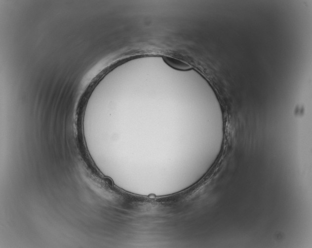 X0000111650246200908071415
