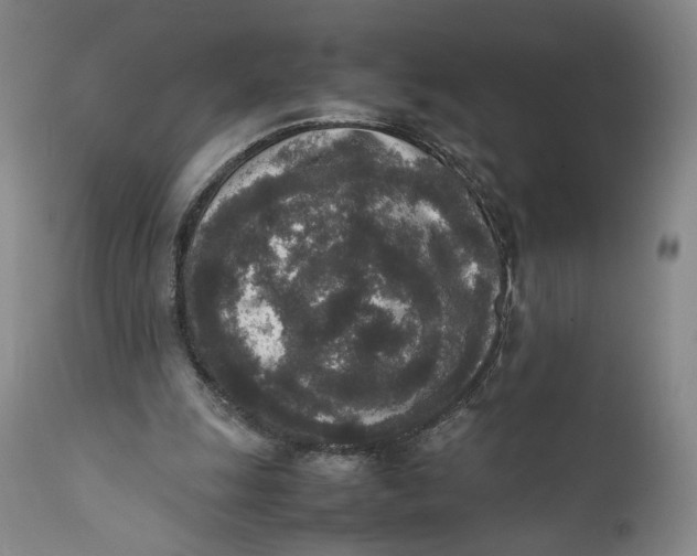 X0000111650247200908071415