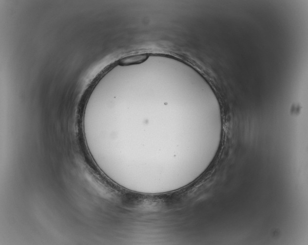 X0000111650248200908071415