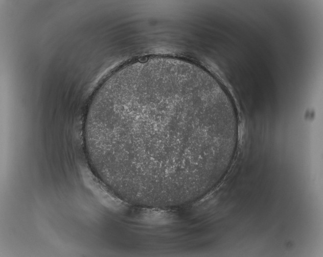 X0000111650249200908071415