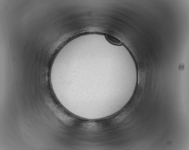 X0000111650253200908071416