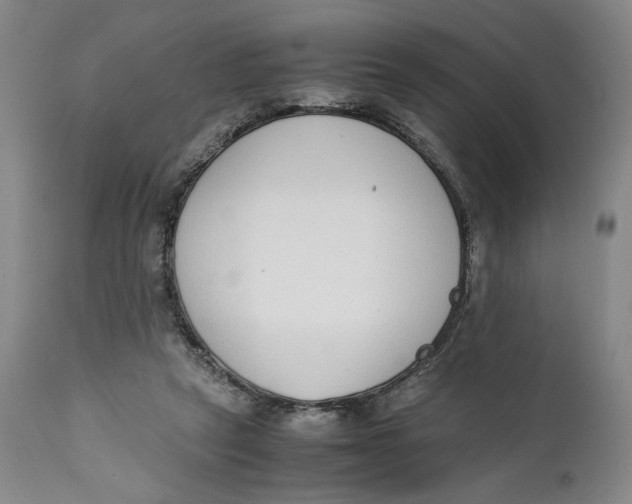 X0000111650257200908071416