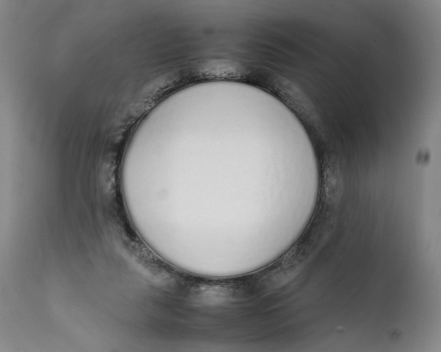 X0000111650259200908071416