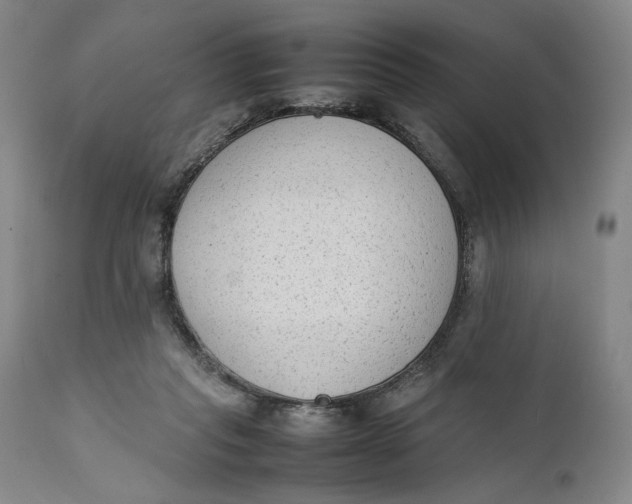 X0000111650261200908071416