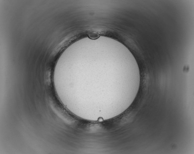 X0000111650262200908071416