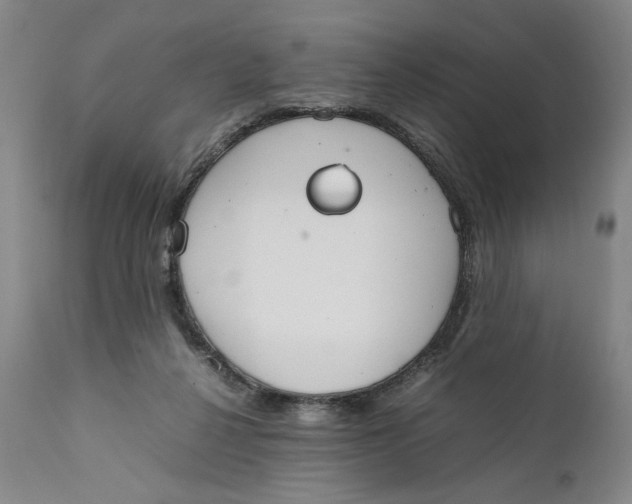 X0000111650264200908071416