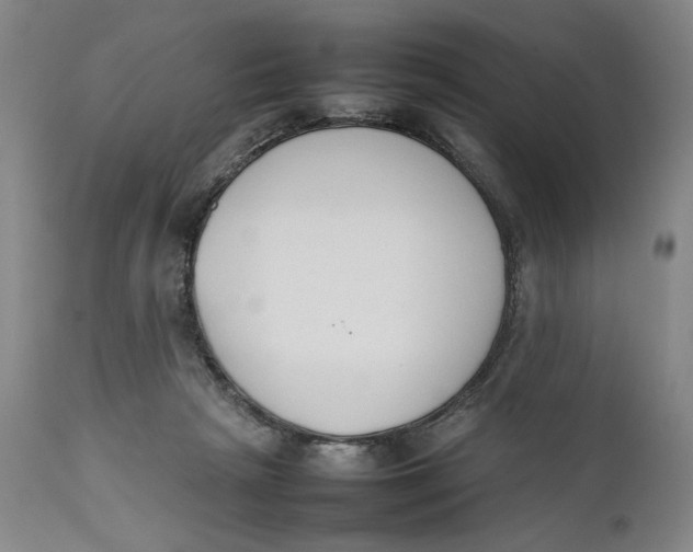 X0000111650265200908071416
