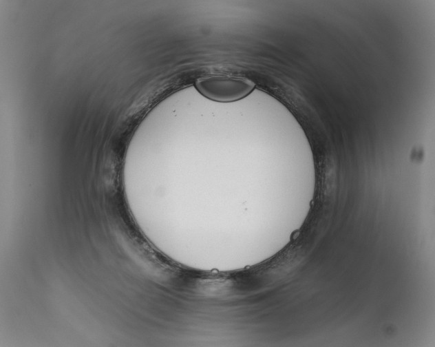 X0000111650266200908071416