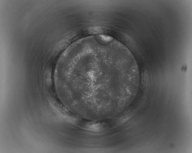 X0000111650267200908071416