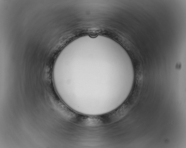 X0000111650270200908071416