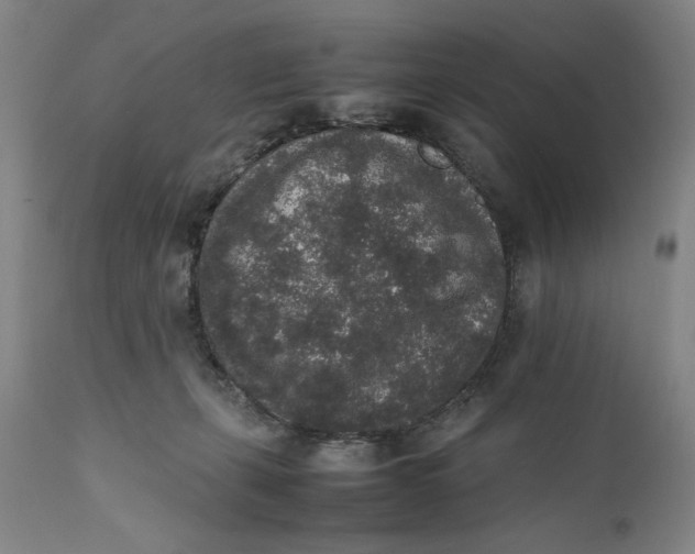 X0000111650271200908071416