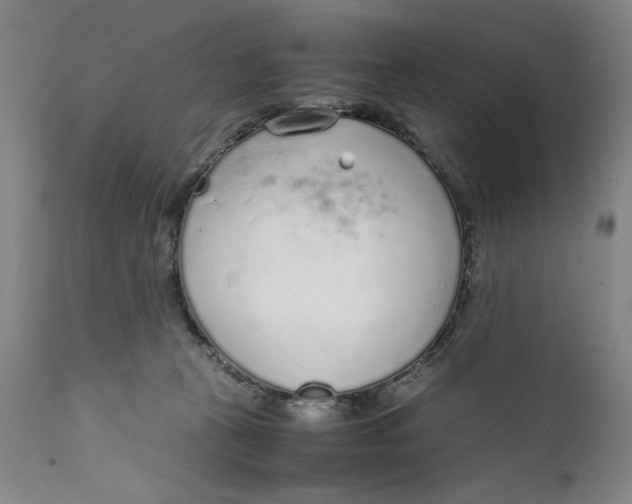 X0000111650273200908071416