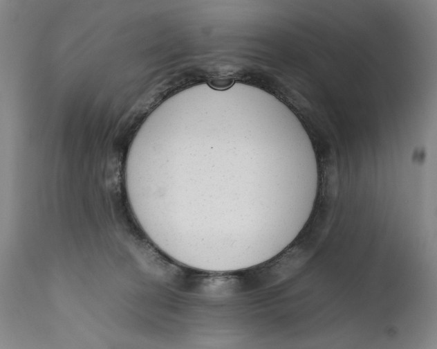 X0000111650274200908071416