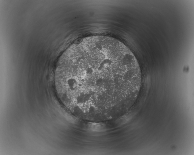 X0000111650277200908071416