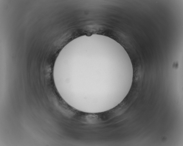 X0000111650279200908071416