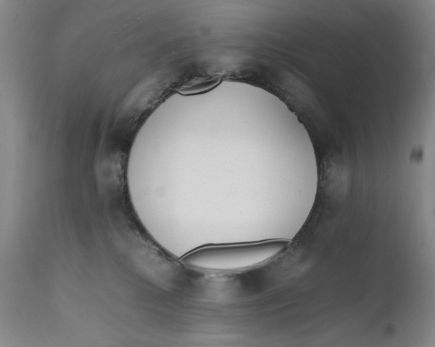 X0000111650280200908071416
