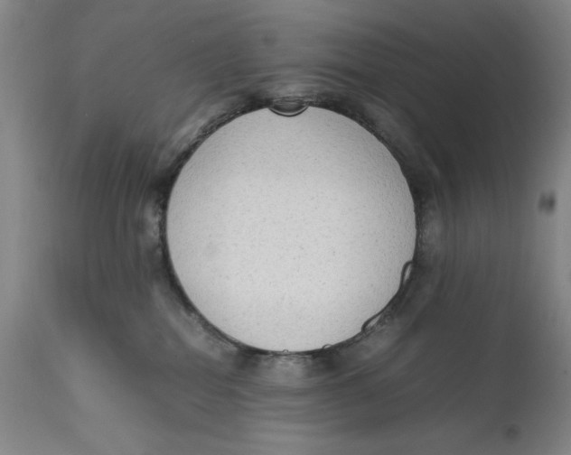 X0000111650282200908071416