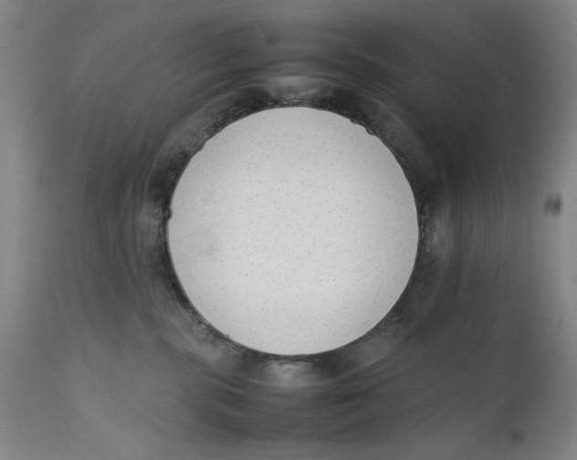 X0000111650283200908071416