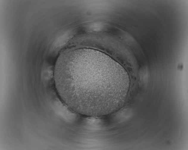 X0000111650284200908071416