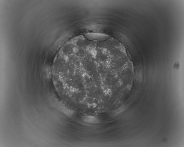 X0000111650285200908071416