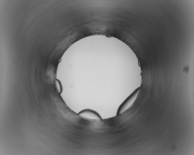 X0000111650287200908071416
