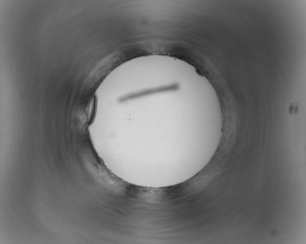X0000111650288200908071416