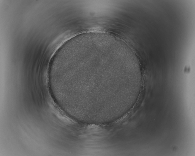 X0000111650290200908071415