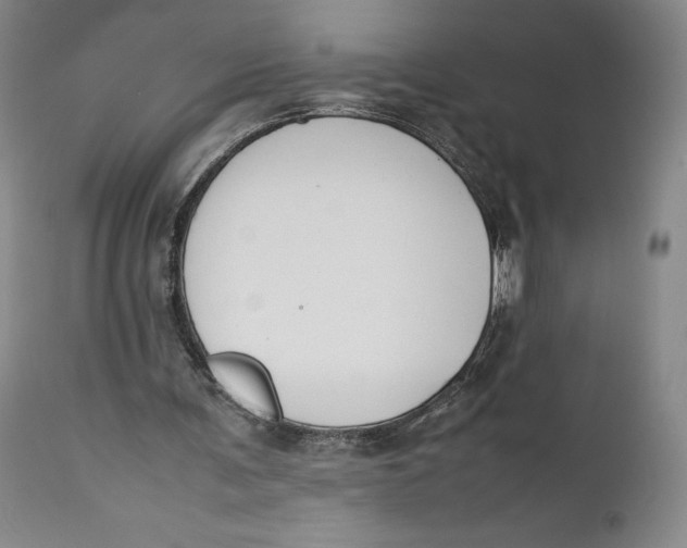 X0000111650291200908071415