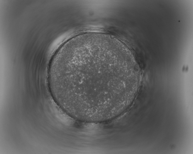 X0000111650293200908071415