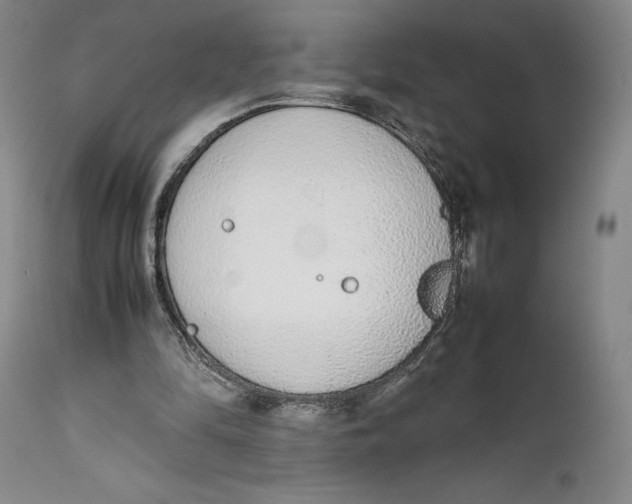 X0000111650294200908071415