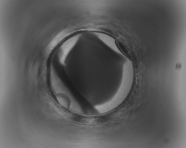 X0000111650295200908071415