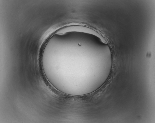 X0000111650296200908071415