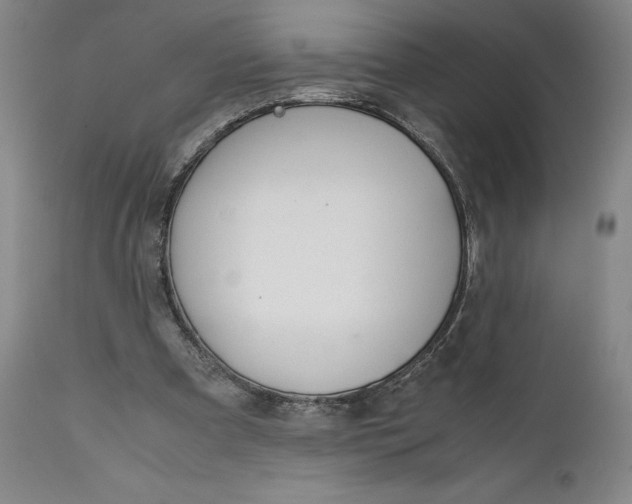 X0000111650297200908071415