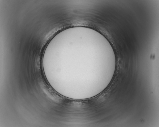 X0000111650298200908071415