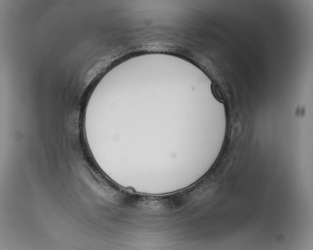 X0000111650299200908071415