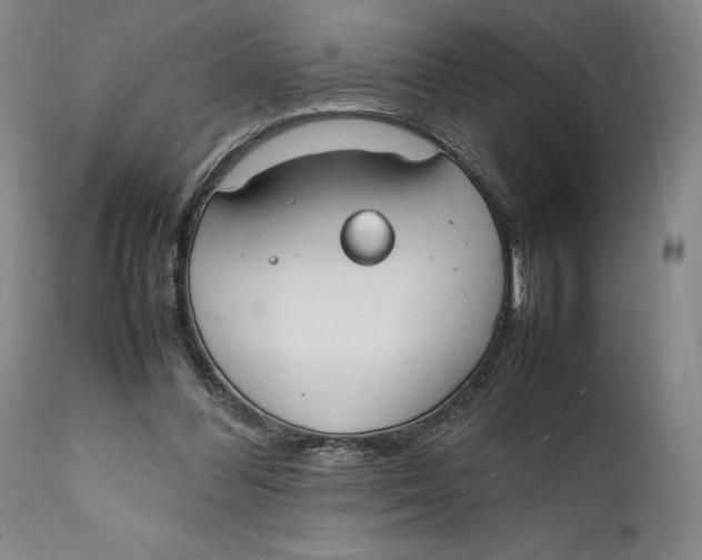X0000111650300200908071415