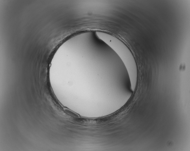 X0000111650301200908071415