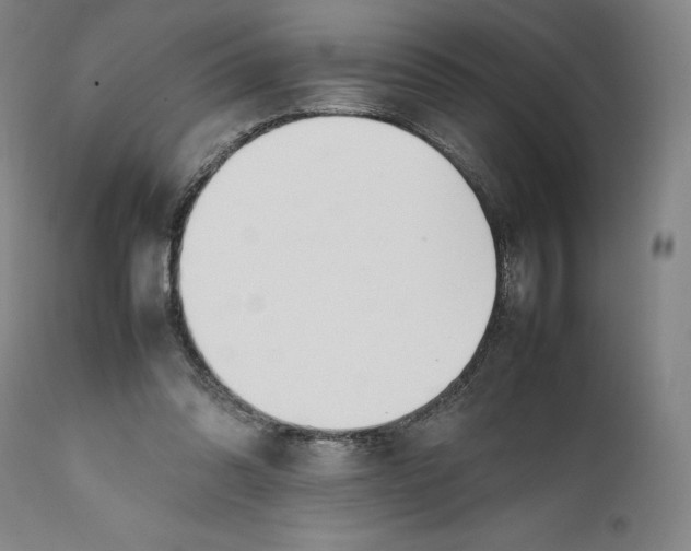 X0000111650302200908071415
