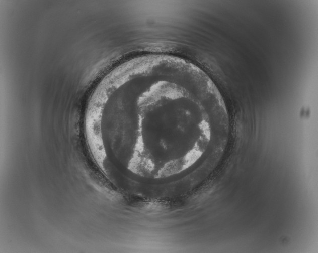 X0000111650303200908071415