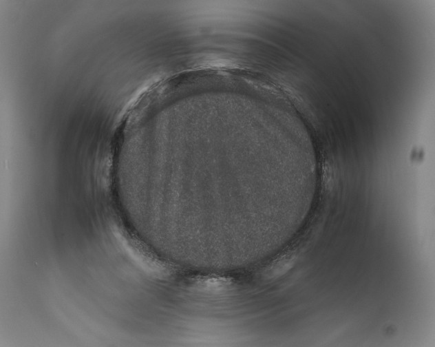 X0000111650304200908071415