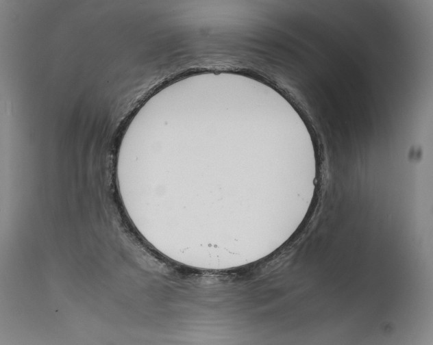X0000111650305200908071415