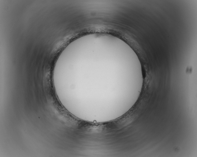 X0000111650306200908071415