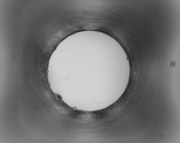 X0000111650307200908071415