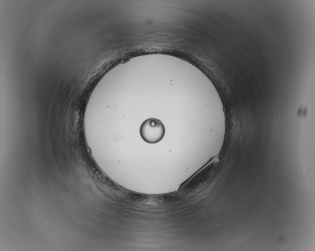 X0000111650308200908071415