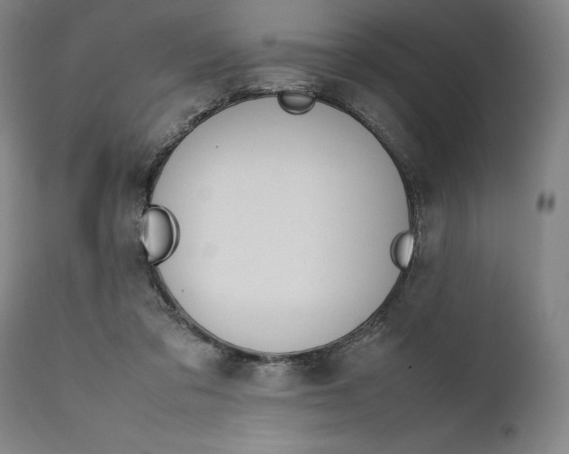 X0000111650309200908071415