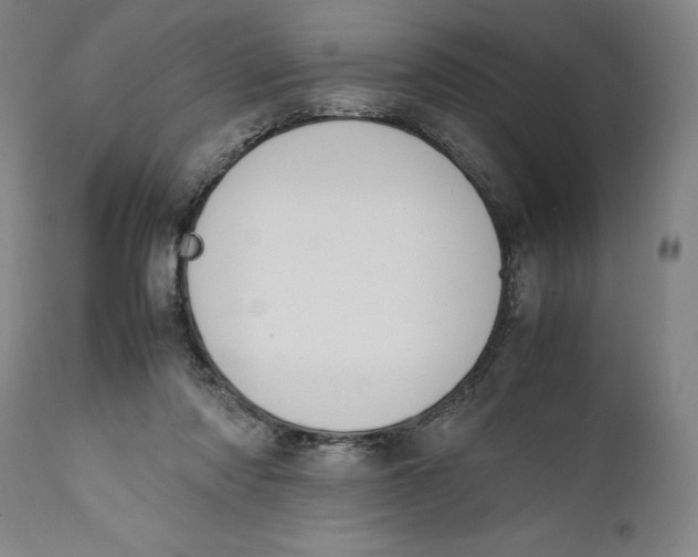 X0000111650310200908071415